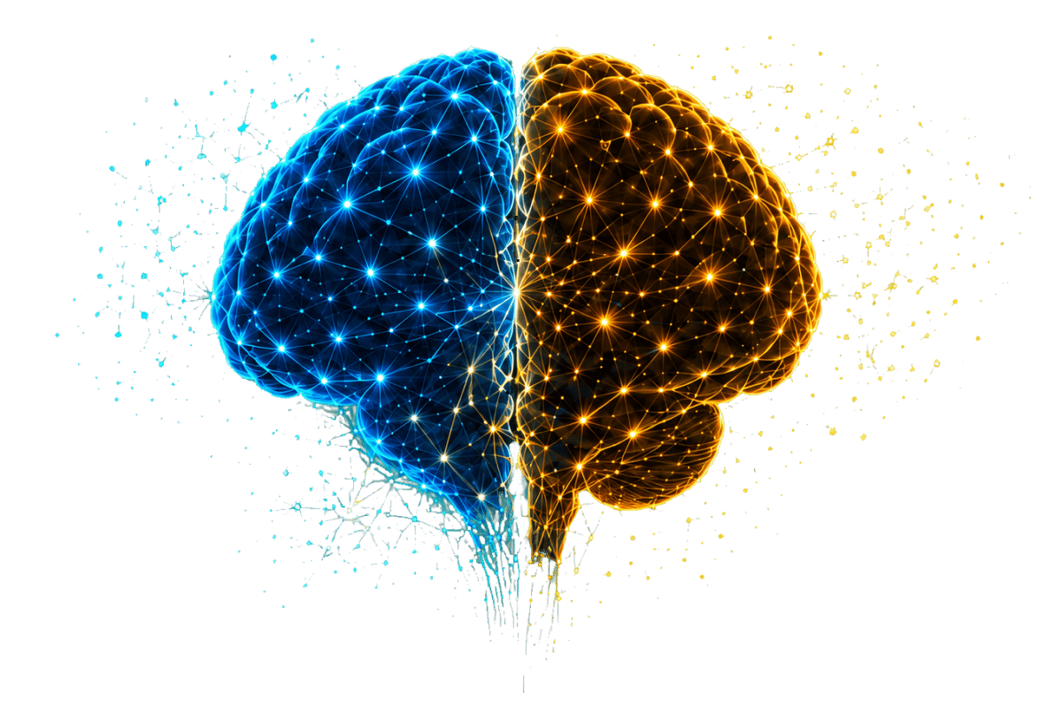 Brain illustrated as a blue protective half and an orange energetic half