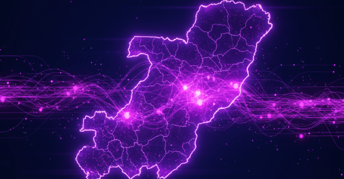 Cameroon pharmaceutical distribution network